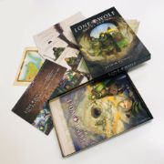 Obrázek Lone Wolf - hra na hrdiny