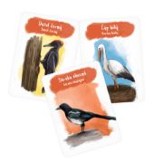 Obrázek Pidikarty - Opeřenci