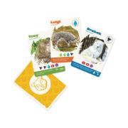 Obrázek Naše zoo
