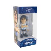 Obrázek MINIX Football Icon: Maradona - ARGENTINA