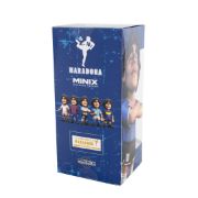 Obrázek MINIX Football Icon: Maradona - ARGENTINA