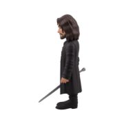 Obrázek MINIX TV: Lord of the Rings - Aragorn
