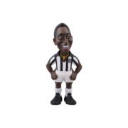 Obrázek MINIX Football Icon: Pelé - Santos