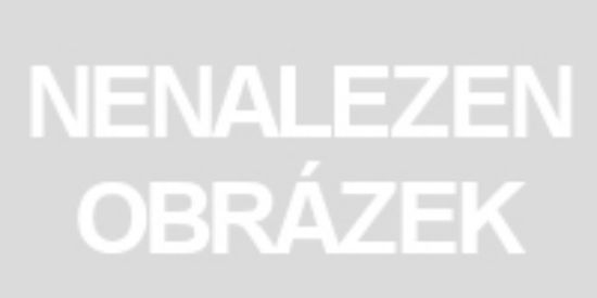 Obrázek Bluey 4v1
