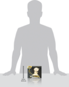 Obrázek Pokémon TCG Mega Evolution Elite Trainer Box Mega Gardevoir