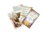 Obrázek Ve jménu krále