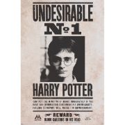 Obrázek Plakát Harry Potter - Undesirable n°1