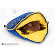 Obrázek Plyšák s polštářem Harry Potter - Čokoládová žabka