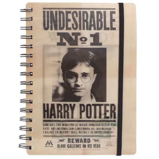 Obrázek Zápisník Harry Potter - Sirius & Harry 3D