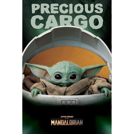 Obrázek Plakát Star Wars: Mandalorian - Precious Cargo