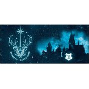 Obrázek Hrnek Harry Potter - Expecto Patronum