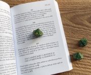 Obrázek Kostka Lone Wolf