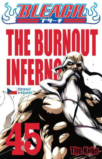 Obrázek Bleach 45: The Burnout Inferno