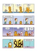 Obrázek Garfield 67: Garfield k nakousnutí