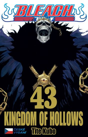 Obrázek Bleach 43: Kingdom of Hollows