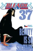 Obrázek Bleach 37: Beauty Is So Solitary