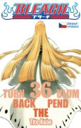 Obrázek Bleach 36: Turn Back The Pendulum