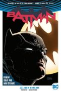 Obrázek Batman 01: Já jsem Gotham V4