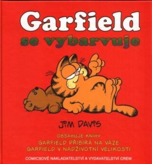 Obrázek Garfield se vybarvuje