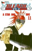 Obrázek Bleach 11 - A Star and a Stray Dog