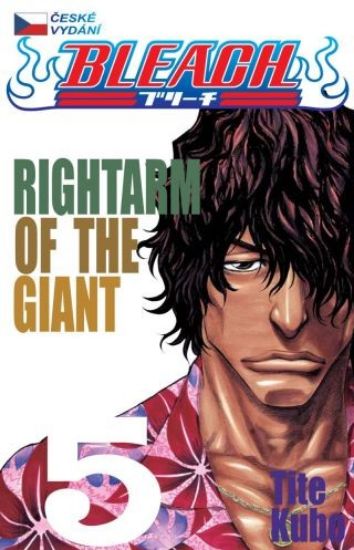 Obrázek Bleach 05 - Rightarm of the giant