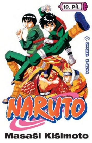 Obrázek Naruto 10: Úžasný nindža