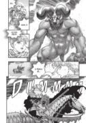 Obrázek Berserk 13