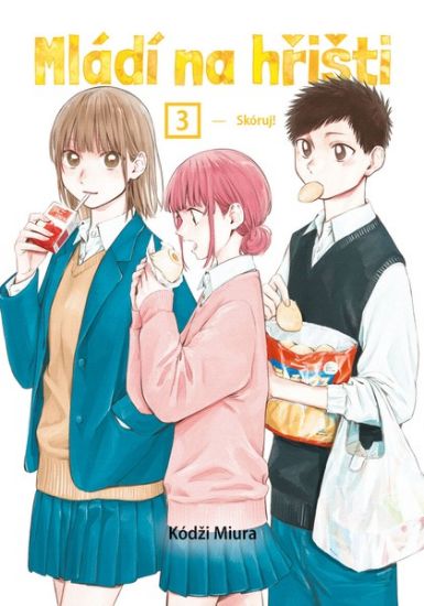 Obrázek Mládí na hřišti 3: Skóruj!