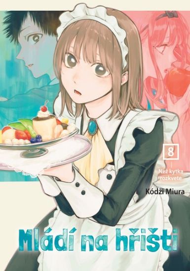 Obrázek Mládí na hřišti 8: Než kytka rozkvete