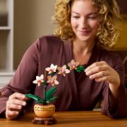 Obrázek Miniaturní orchidej