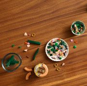 Obrázek Miniaturní orchidej