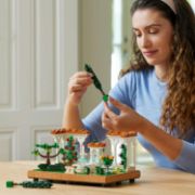 Obrázek Zahrada s fontánou