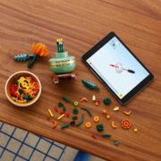 Obrázek Chryzantéma