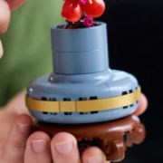 Obrázek Meruňka japonská