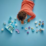 Obrázek Ledové království: Anna a Elsa a oslava na hradě