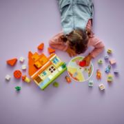 Obrázek Dům Bluey a paměťová hra