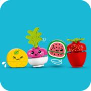 Obrázek Bio farmářský trh