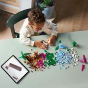 Obrázek Kreativní dinosauři