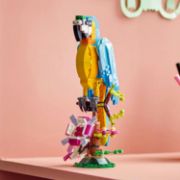 Obrázek Exotický papoušek