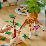 Obrázek Divoká zvířata ze safari