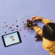 Obrázek Divoká zvířata: Překvapivý pavouk