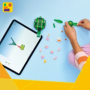 Obrázek Želva s leknínem