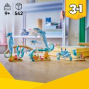 Obrázek Mořští živočichové: Krásní delfíni