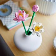 Obrázek Lotosové květy