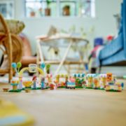 Obrázek Den adopce mazlíčků