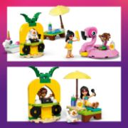 Obrázek Zábava u bazénu s jednorožcem a plameňákem