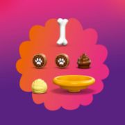 Obrázek Hřiště pro štěňátka