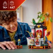 Obrázek Výstavka nindžů: 15 let NINJAGO