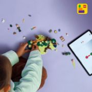 Obrázek Elphaba a její úkryt