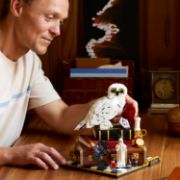 Obrázek Kámen mudrců – sběratelská edice